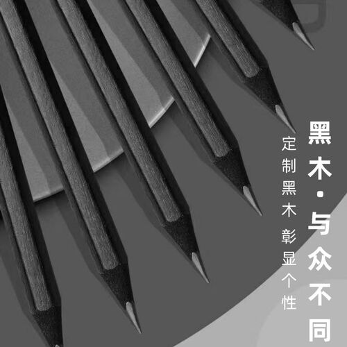 艾绘画黑木炭笔美术生专用素描碳笔初学者艺考极软中硬速写专用