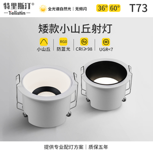 特里斯汀超薄防眩LED天花射灯小山丘嵌入式客厅矮款吊顶无主灯T73