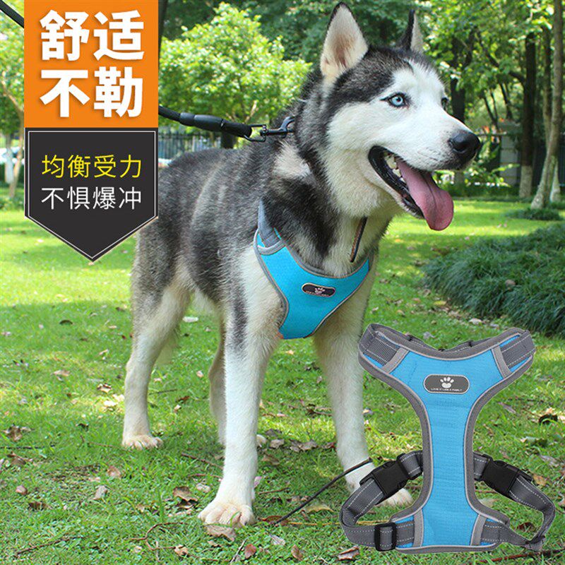 狗狗牵引绳背心式中型大型犬金毛拉布拉多幼犬胸背带遛狗绳狗链子