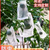 防虫网大棚专用种菜防护网果树网罩家用纱网阳台种菜防虫加密网