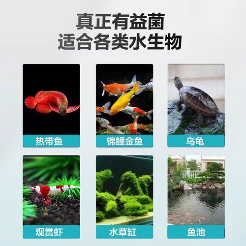 硝化细菌鱼缸专用净水剂鱼用水质净化剂除鱼腥除绿藻养鱼乌龟除臭