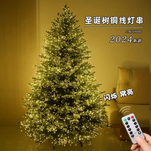 圣诞树节装饰品led小彩灯闪灯串灯满天星铜线灯氛围布置装饰灯带