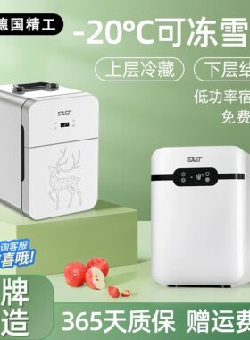 德国进口车载迷你小冰箱mini冷藏