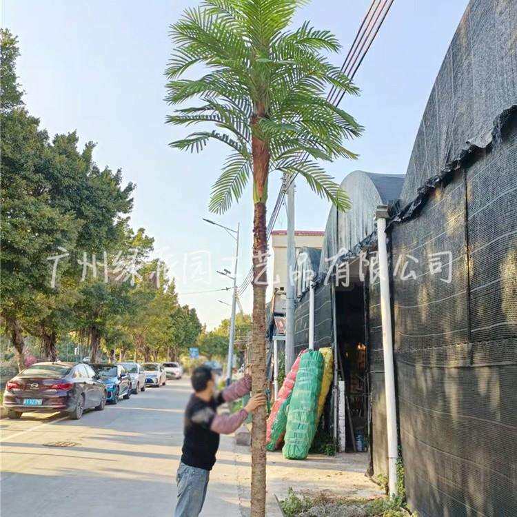 仿真棕榈树假扇葵树小区楼盘庭院装饰大型人造棕榈树优质假棕树