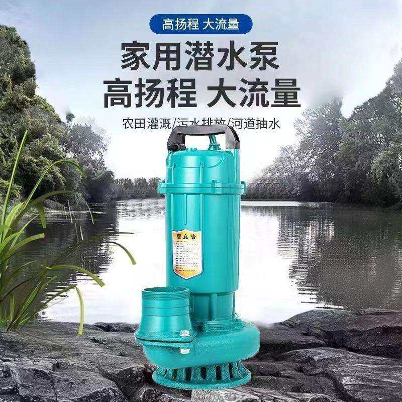 抽水泵农用灌溉上海人民款潜水泵家用程抽水机大口径大流量水泵