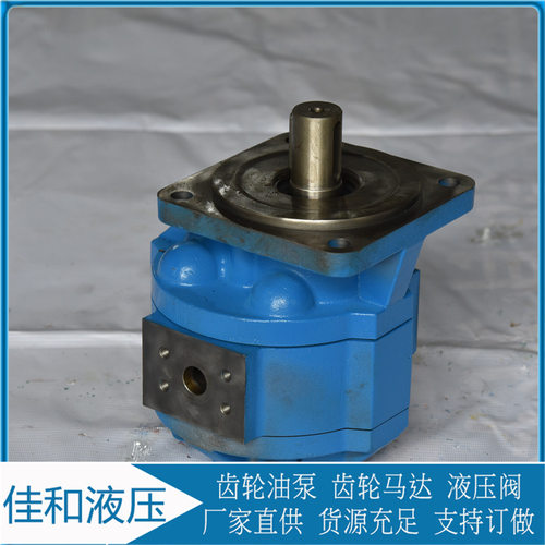 常林Z30-5工作泵W-01-00018 CBG系列工作泵 常林齿轮工作泵