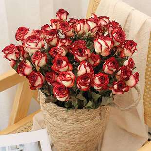 混搭彩色玫瑰干花花束客厅摆设装饰摆件桌面插花云南天然风干真花