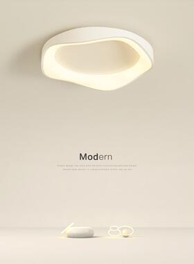 NuSun 贵宾/泰迪幼犬犬粮 2500g创意卧室灯现代简约网红房间led灯