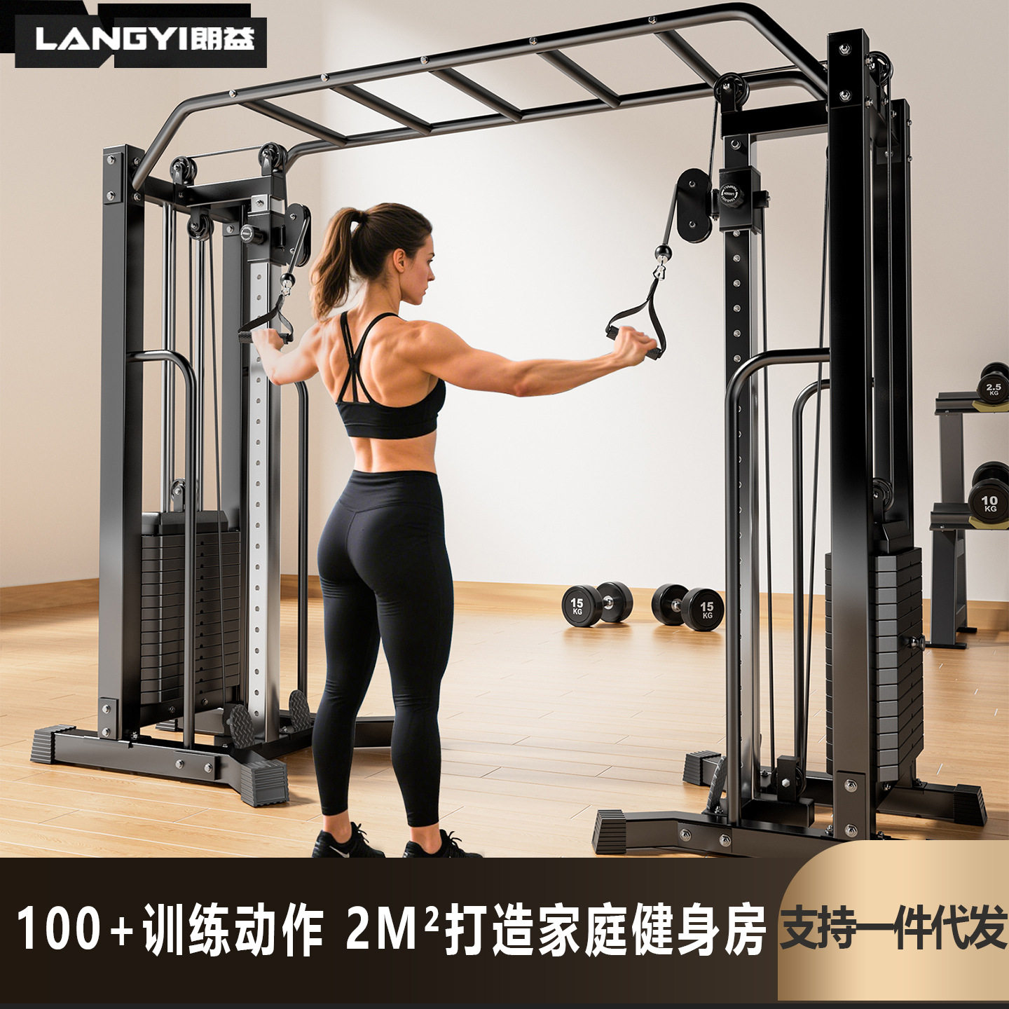大飞鸟龙门架健身家用一体机器材商用飞鸟引体家用朗