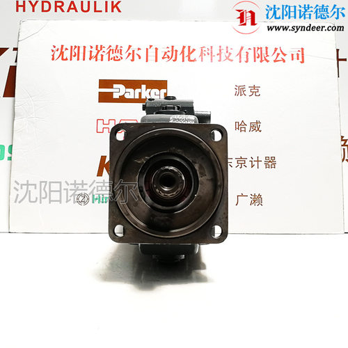 HAWE哈威V60N-110 RDUN-1-0-03UN/LSN维修包