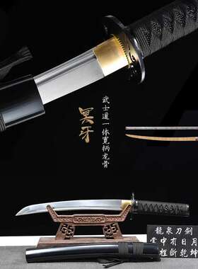 龙泉宝刀 太打居合练习士刃道肋胁差定制武动漫东阳日本cos未开刃