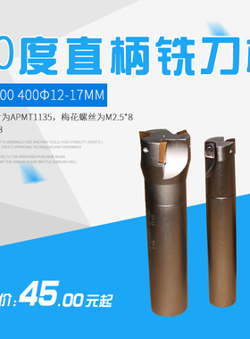 R角0.8刀杆TAP直角台肩铣刀 90度直柄铣刀杆 TAP300 40012-17MM