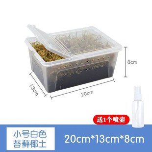 乌龟冬眠箱专用椰土过冬恒温箱保暖椰土干苔藓大小乌龟冬眠盒套装