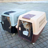 大型犬航空箱狗狗宠物狗笼子托运箱子外出便携金毛专用车载太空箱