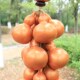 大号金色葫芦串天然材质手工田园风挂饰客厅阳台装 饰丰收福禄门饰