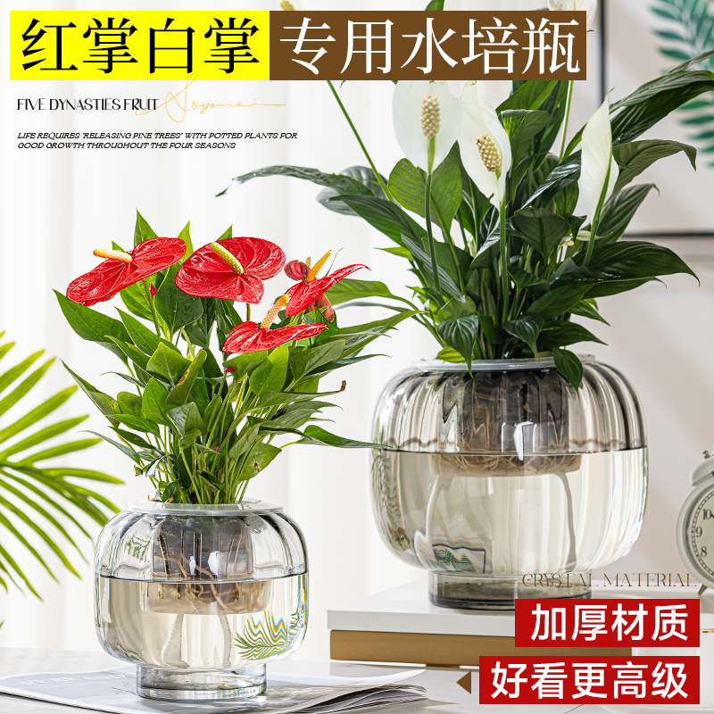 水培花瓶玻璃瓶红掌吊兰绿萝一帆风顺创意水养绿植插花大号花瓶子