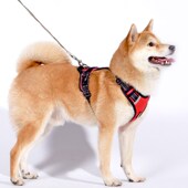 柴犬牵引绳背心式 中大型犬防爆冲胸背带边牧金毛大狗遛狗绳狗链子