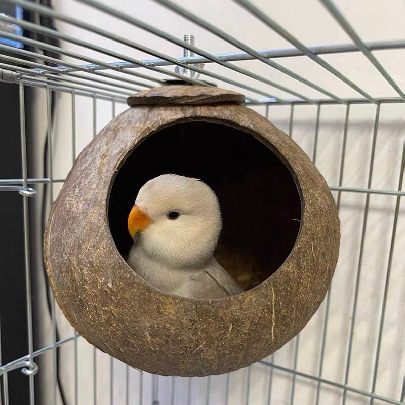 牡丹鹦鹉椰子壳鸟窝鹦鹉窝鸟巢窝鹦鹉繁殖箱珍珠椰壳鸟窝户外草窝