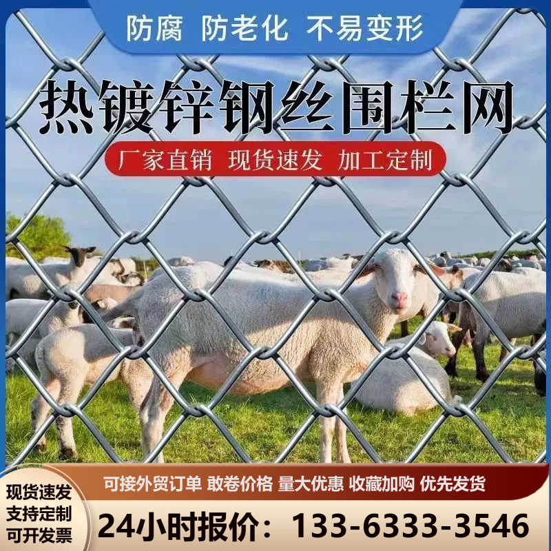 热镀锌铁丝网围栏护栏网养鸡养狗勾花网养殖牛羊钢丝网户外防护网