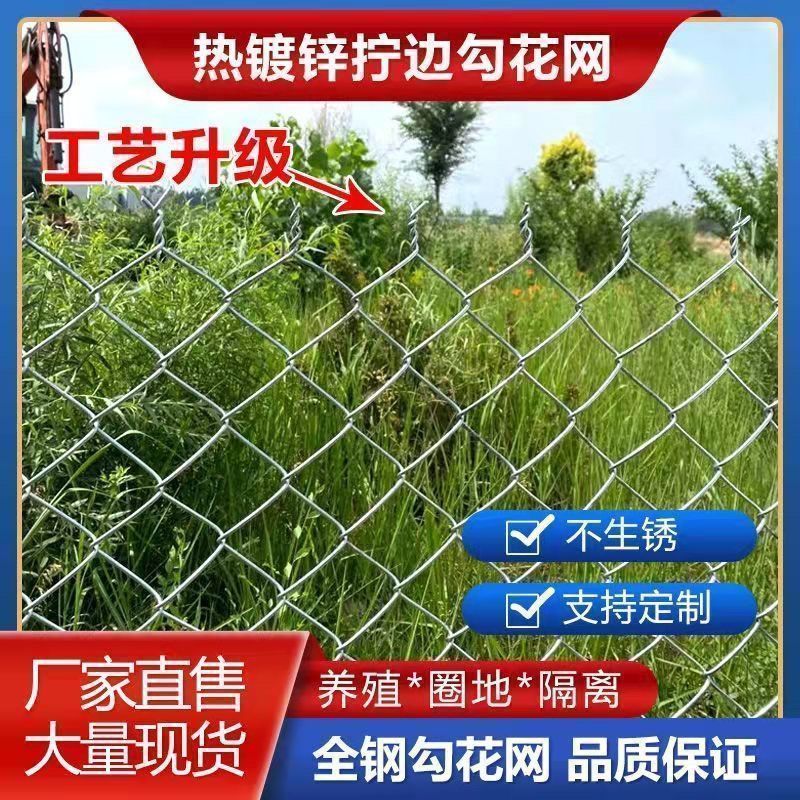 热镀锌铁丝网围栏护栏网养鸡养狗勾花网养殖牛羊钢丝网户外防护网