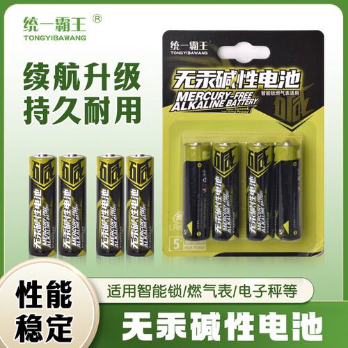 统一霸王5号7号碱性遥控器电池儿童玩具空调电视闹钟血压计1.5V