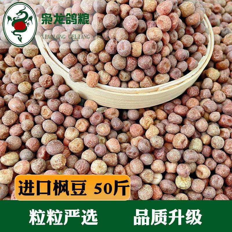 枭龙鸽粮枫豆50斤赛鸽信鸽营养鸽子食