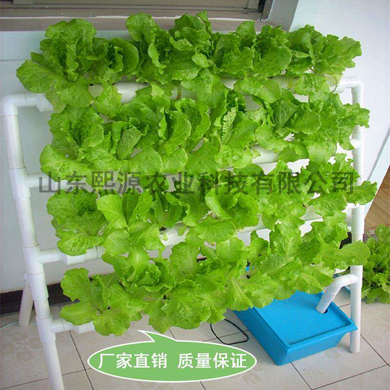 新款梯式家庭水耕水培机自动花卉水培种菜机阳台无土栽培设备