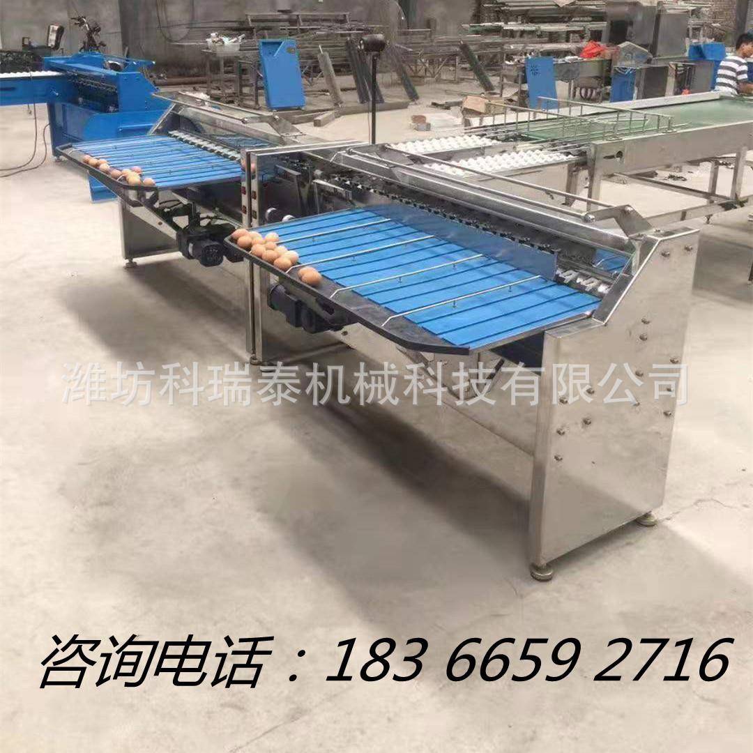 中小型蛋品分选设备鸡蛋鸭蛋小型重量分级机机械式种蛋分选机
