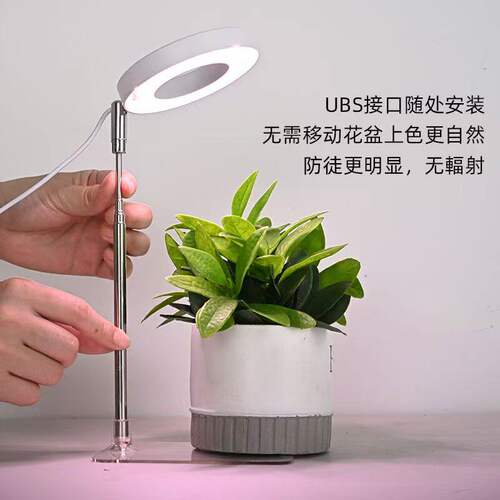 天使环LED植物生长灯全光谱智能定时太阳光绿植多肉微景观补光灯