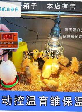 芦丁鸡保温箱自动控o温鹌鹑恒温保暖灯小鸟宠物鸡养殖育雏加热设l