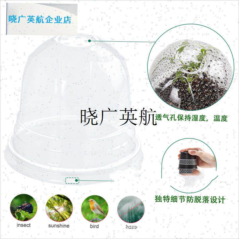 高透明育苗杯h闷养杯带盖花盆保温保湿闷养盒多肉兰花蝴蝶兰花盆l