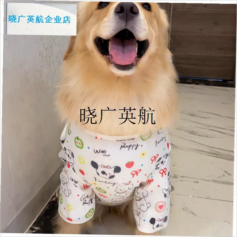 狗狗衣服秋冬降温金毛连体四脚衣大型犬睡衣猫咪护脐.家居服可牵l
