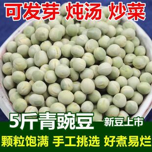 生绿豌豆5斤青色豌豆生豌豆青豌豆农家新货干豌豆杂粮450g