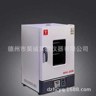 电热恒温干燥箱数显实验室工业烘烤老化箱 泰斯特WHL 65B 立式