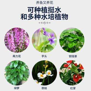 鱼缸鱼池沼泽过滤箱周转箱过滤箱过滤器水池水净化循环系统滴流盒