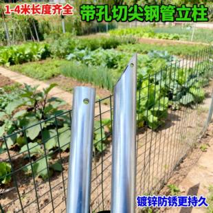 围栏立柱杆2*2镀锌钢管空心圆管25*25方管1寸支撑杆爬藤葡萄架6分