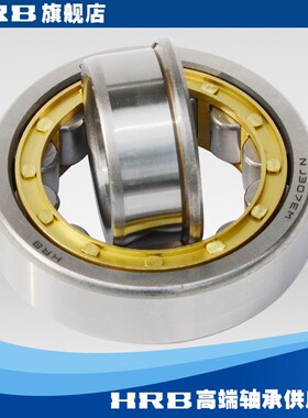 哈尔滨轴承RN304 305 306 307 308 309 310 311 312 313 330 338M