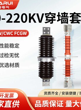 CWC-CWW20KV-35KV/2500-4000A户外电站压穿墙套管10KV铜棒陶瓷