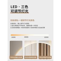 半智能圓化妝鏡壁掛帶燈37846異形鏡子家用主鏡梳臥妝鏡輕奢LED化