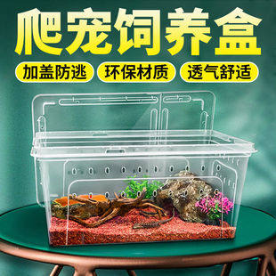 蜘蛛饲养箱爬宠盒子造景蚕昆虫保温盒雨林蝎饲养盒乌龟冬眠箱