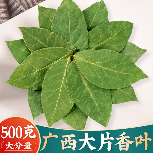 广西特级香叶500g月桂叶食用干货