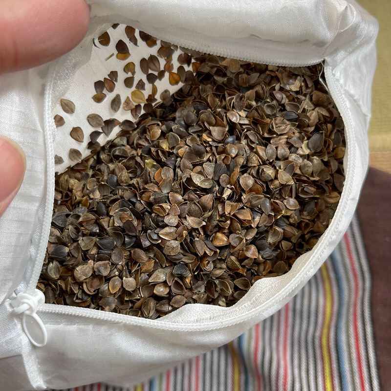 决明子枕头高枕荞麦壳保健助眠枕头中老人超高枕头加厚加高侧睡