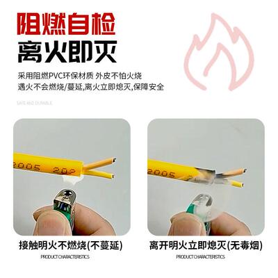 插头带线国标电缆线二芯1.5 2.5 4平方防冻电线软线延长线护套线