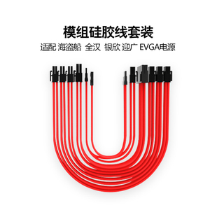 MS600 极速海盗船SF 全y汉MS450 EVGA 全模组SFX电源定制 银欣SX