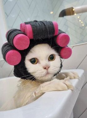 极速Hair Roller Cap Headgear Dog HDat Hair Rollers Fake Bang