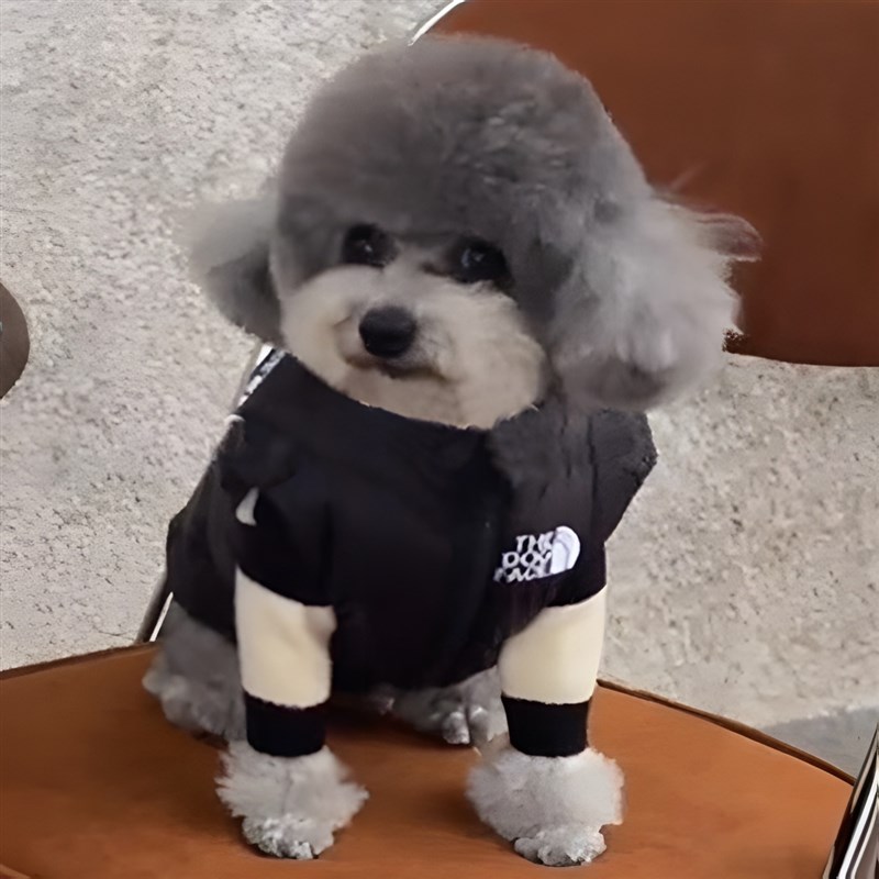 极速特价潮牌宠物衣服p秋冬装小狗狗黑色马甲外套泰迪比熊猫咪无