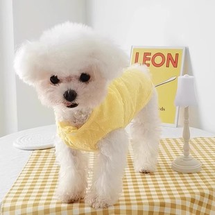 极速狗狗衣服春夏季薄款透气泰迪比熊G博美猫咪秋天防掉毛宠物可