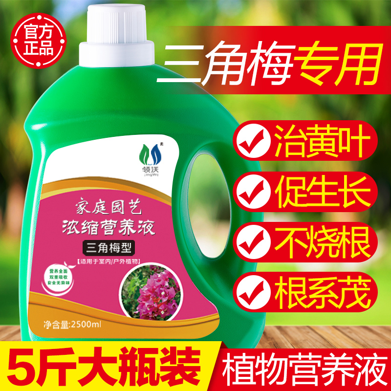 极速三角梅肥料肥营养液花卉促开C花通用盆栽家用液体肥绿植花肥