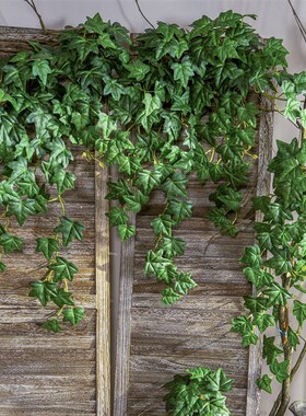 新品高品质e仿真绿植植物垂吊仿生假花假藤蔓藤条爬藤室内造景装