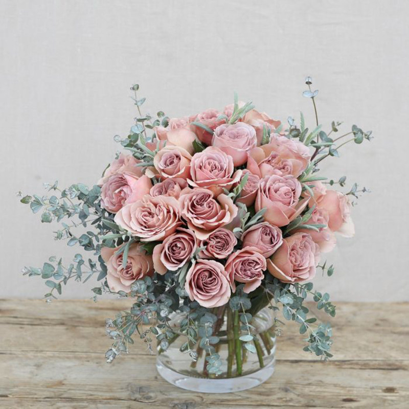 极速拿铁咖啡切花月季灌木z多季节开花阳台庭院花卉盆栽苗